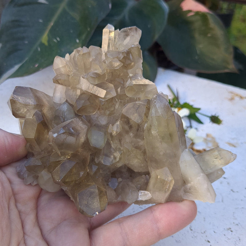 Citrine Cluster natural with mulitple points (12.2cm) - 298g from Green Door Living