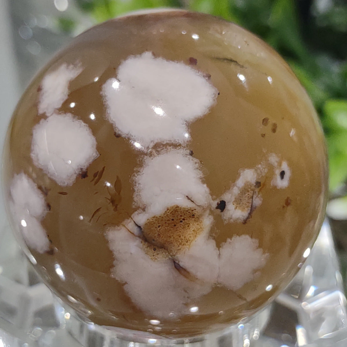 Flower Agate (Cherry Blossom) Sphere with small druzy (5.4cm) - 210g