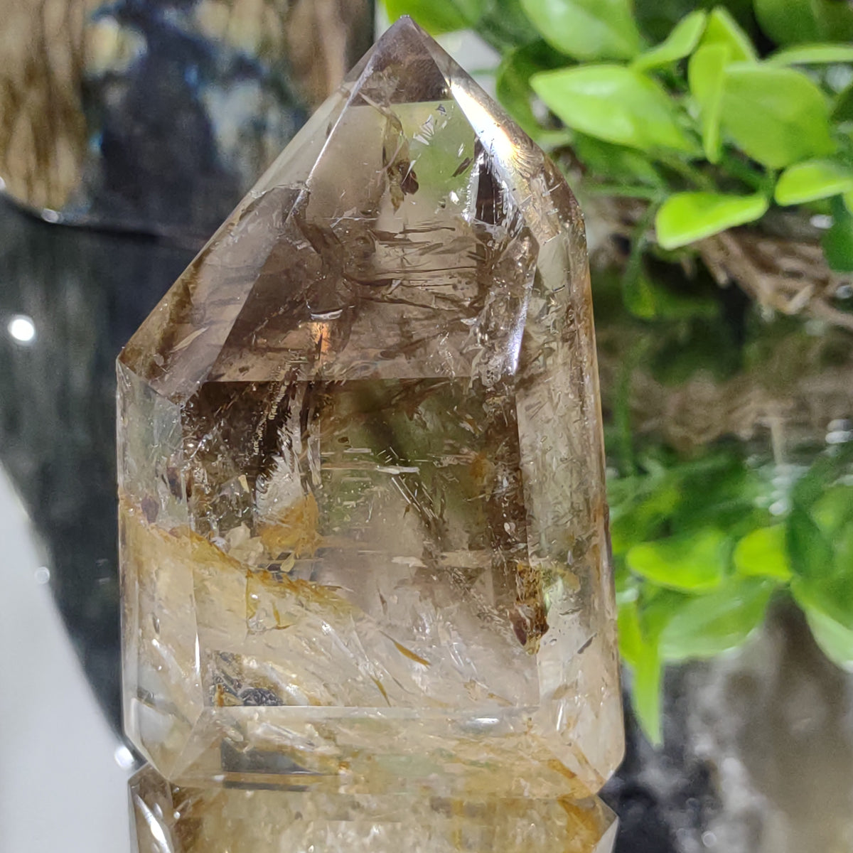 Inclusion Smoky Quartz Point - Very High Grade (7.9cm) - 203g from Green Door Living