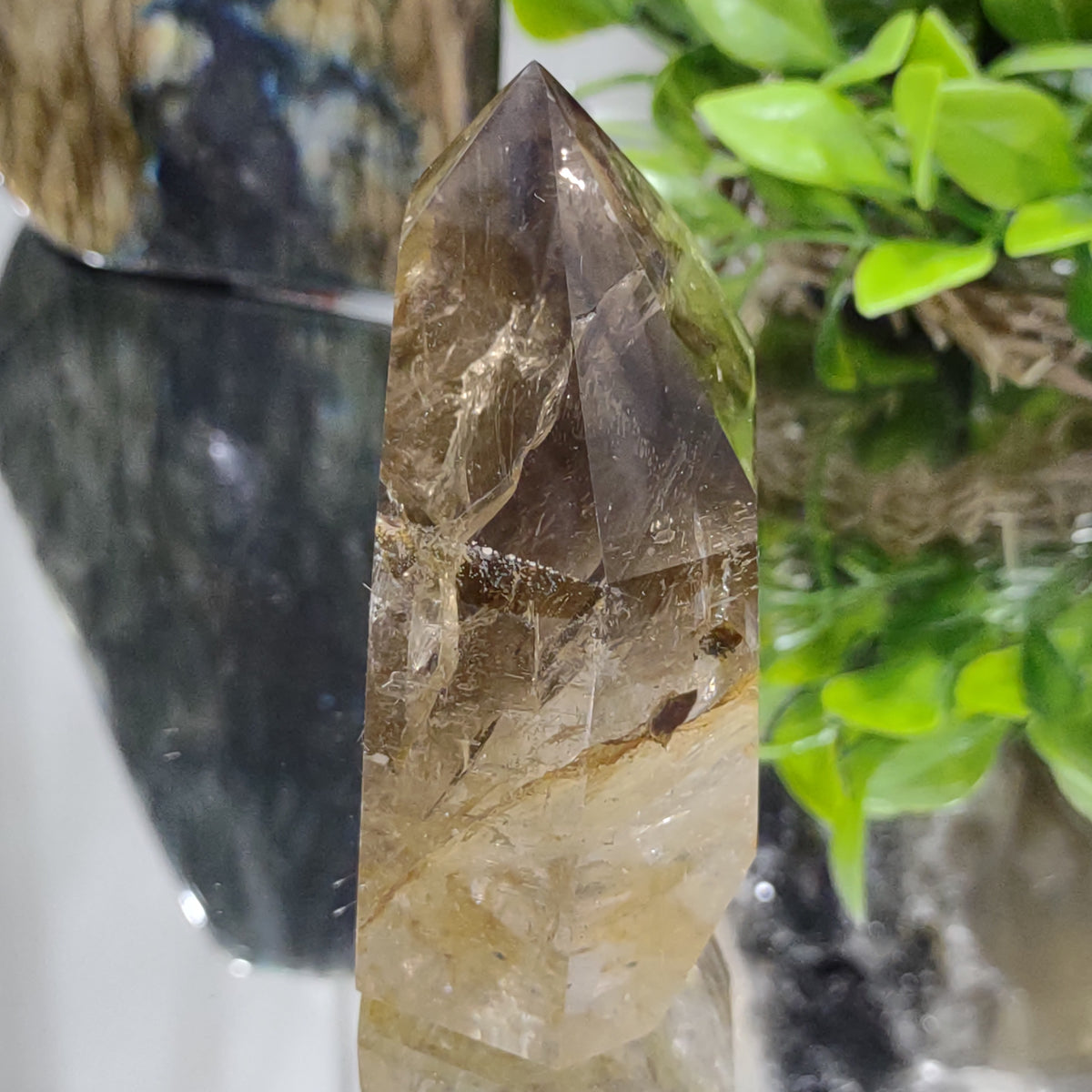 Inclusion Smoky Quartz Point - Very High Grade (7.9cm) - 203g from Green Door Living