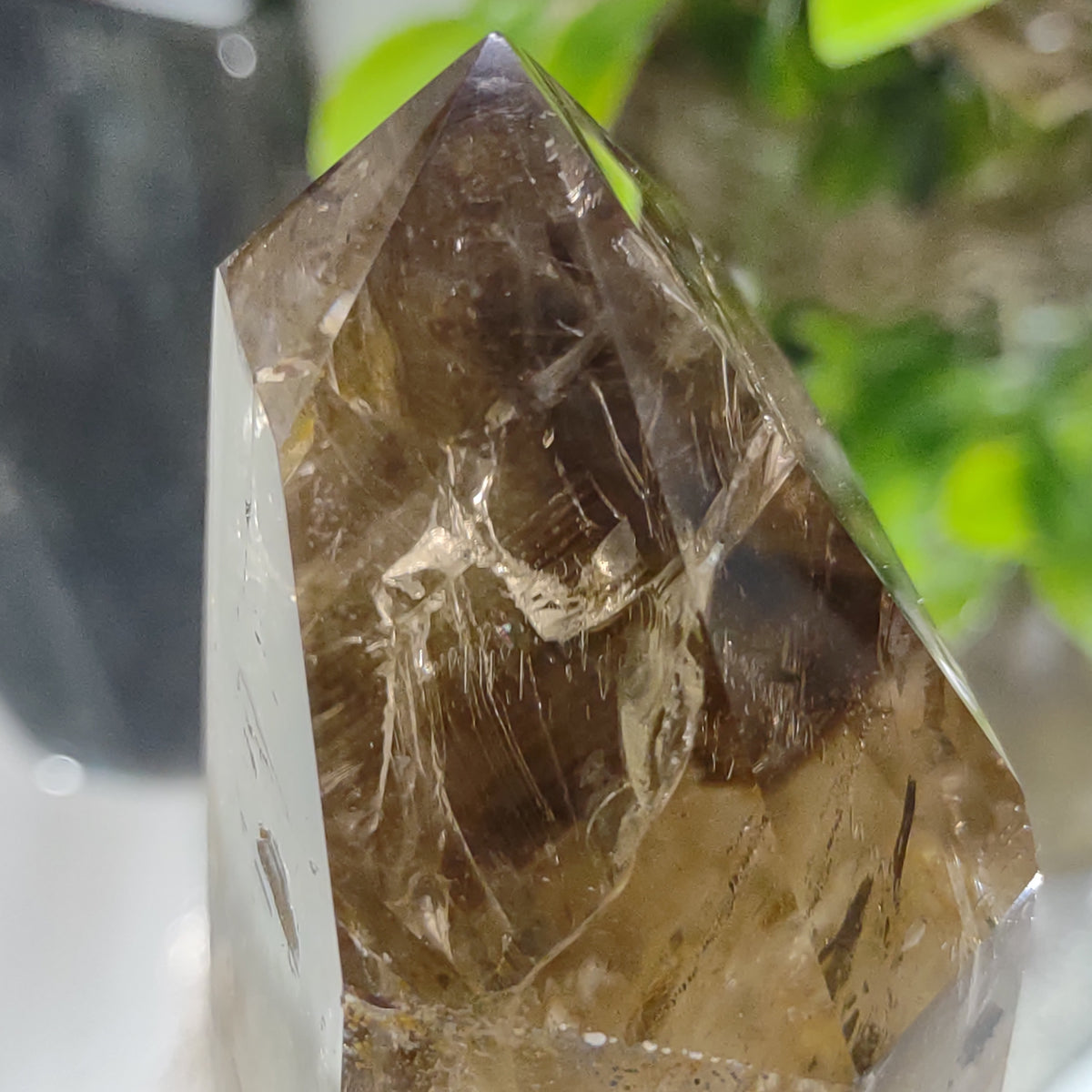 Inclusion Smoky Quartz Point - Very High Grade (7.9cm) - 203g from Green Door Living
