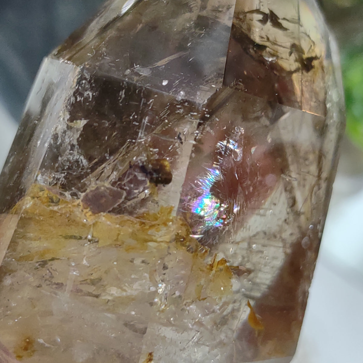 Inclusion Smoky Quartz Point - Very High Grade (7.9cm) - 203g from Green Door Living
