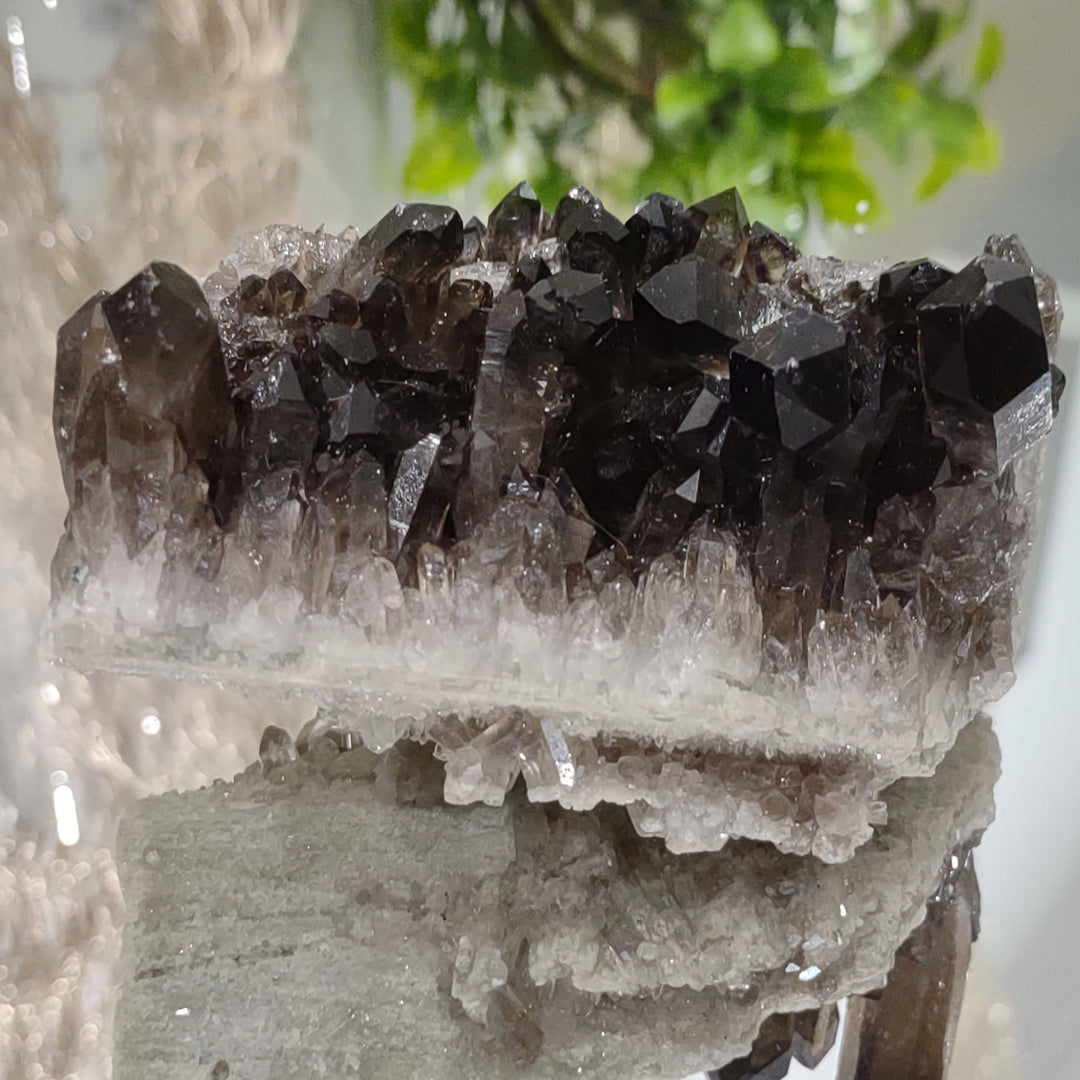 Smoky Quartz Cluster